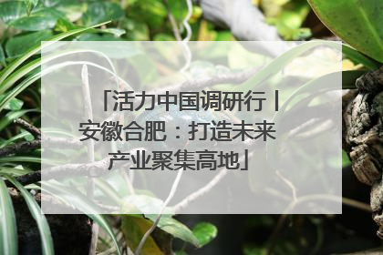 活力中国调研行丨安徽合肥：打造未来产业聚集高地