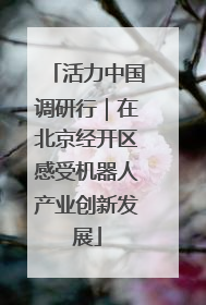 活力中国调研行｜在北京经开区感受机器人产业创新发展