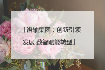 洛轴集团：创新引领发展 数智赋能转型