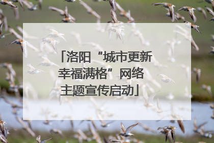 洛阳“城市更新 幸福满格”网络主题宣传启动