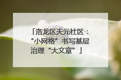 洛龙区天元社区：“小网格”书写基层治理“大文章”