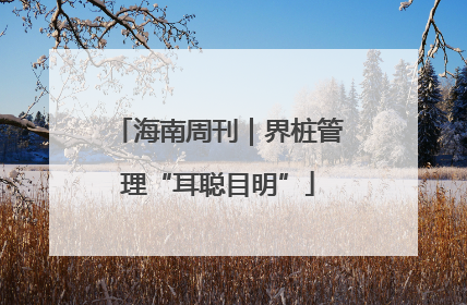 海南周刊｜界桩管理“耳聪目明”