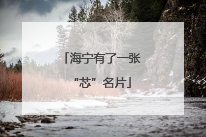 海宁有了一张“芯”名片