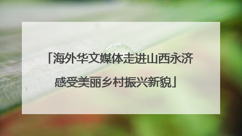 海外华文媒体走进山西永济 感受美丽乡村振兴新貌
