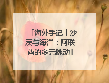 海外手记丨沙漠与海洋：阿联酋的多元脉动