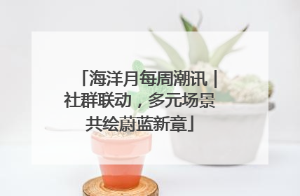 海洋月每周潮讯｜社群联动，多元场景共绘蔚蓝新章