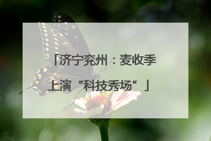 济宁兖州：麦收季上演“科技秀场”