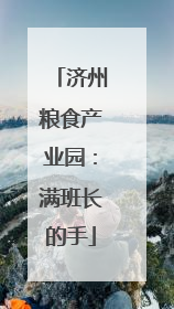 济州粮食产业园：满班长的手