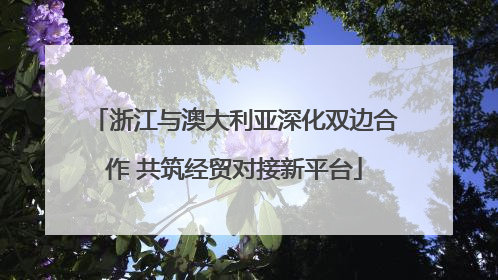 浙江与澳大利亚深化双边合作 共筑经贸对接新平台