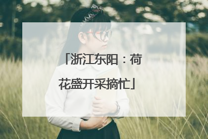 浙江东阳：荷花盛开采摘忙