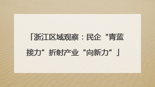 浙江区域观察：民企“青蓝接力”折射产业“向新力”