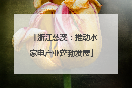 浙江慈溪：推动水家电产业蓬勃发展