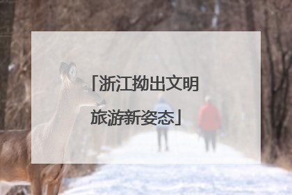 浙江拗出文明旅游新姿态