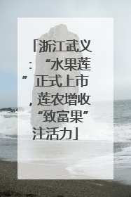 浙江武义：“水果莲”正式上市，莲农增收“致富果”注活力