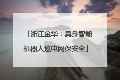 浙江金华：具身智能机器人巡电网保安全