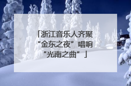 浙江音乐人齐聚“金东之夜”唱响“光南之曲”