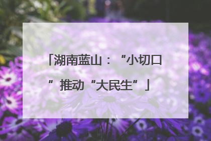 湖南蓝山：“小切口”推动“大民生”