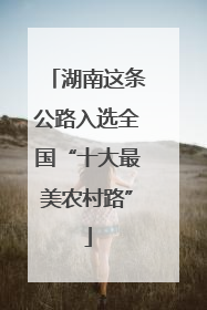 湖南这条公路入选全国“十大最美农村路”