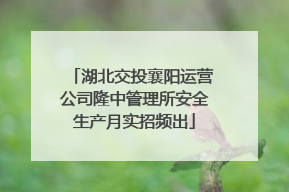 湖北交投襄阳运营公司隆中管理所安全生产月实招频出