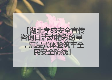 湖北孝感安全宣传咨询日活动精彩纷呈，沉浸式体验筑牢全民安全防线