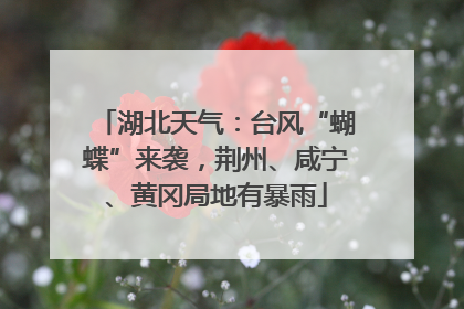 湖北天气：台风“蝴蝶”来袭，荆州、咸宁、黄冈局地有暴雨