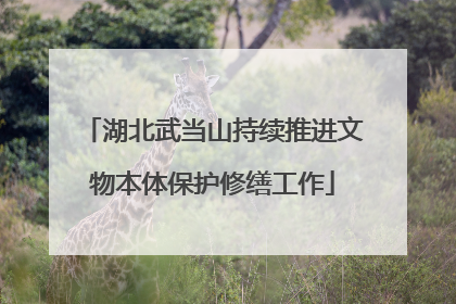 湖北武当山持续推进文物本体保护修缮工作