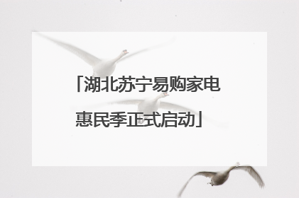 湖北苏宁易购家电惠民季正式启动