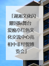 湖湘文化闪耀国际舞台 爱晚亭红色文化交流中心亮相中非经贸博览会