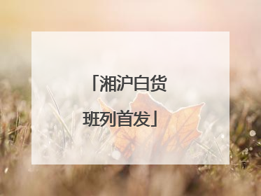 湘沪白货班列首发