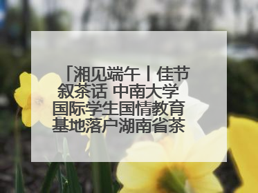 湘见端午丨佳节叙茶话 中南大学国际学生国情教育基地落户湖南省茶叶博物馆