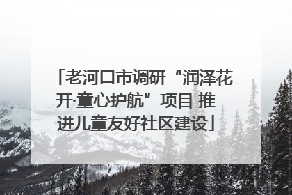 老河口市调研“润泽花开·童心护航”项目 推进儿童友好社区建设