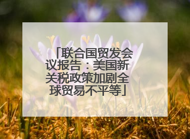 联合国贸发会议报告：美国新关税政策加剧全球贸易不平等
