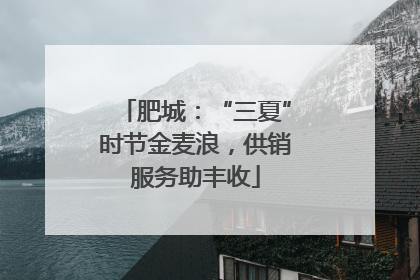 肥城：“三夏”时节金麦浪，供销服务助丰收