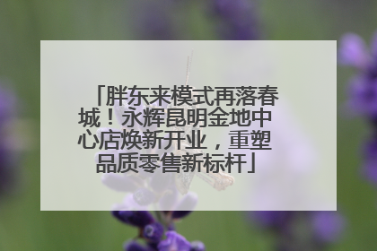 胖东来模式再落春城！永辉昆明金地中心店焕新开业，重塑品质零售新标杆