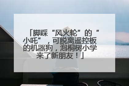 脚踩“风火轮”的“小吒”，可脱离遥控板的机器狗，泡桐树小学来了新朋友！