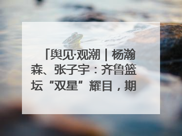 舆见·观潮｜杨瀚森、张子宇：齐鲁篮坛“双星”耀目，期许与挑战并存