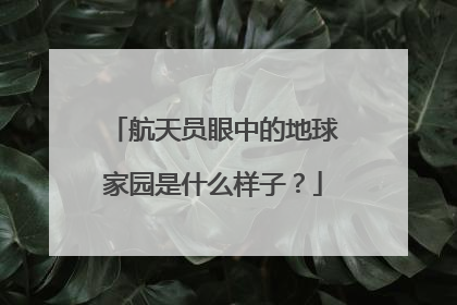 航天员眼中的地球家园是什么样子？