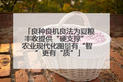 良种良机良法为夏粮丰收提供“硬支撑” 农业现代化图景有“智”更有“质”