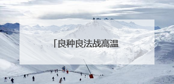 良种良法战高温 陕西渭南旱地小麦丰收有“粮”方
