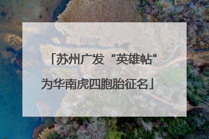 苏州广发“英雄帖”为华南虎四胞胎征名
