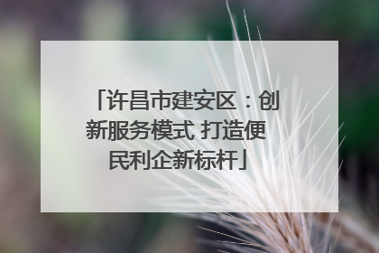 许昌市建安区：创新服务模式 打造便民利企新标杆