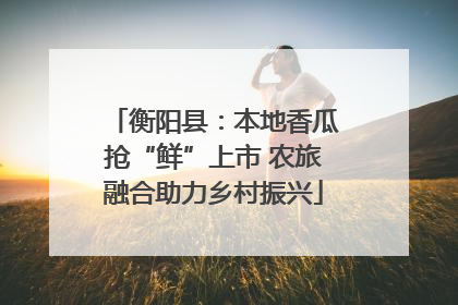 衡阳县：本地香瓜抢“鲜”上市 农旅融合助力乡村振兴