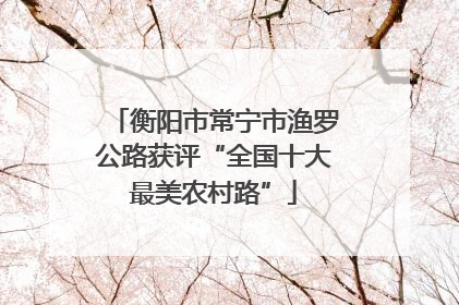 衡阳市常宁市渔罗公路获评“全国十大最美农村路”