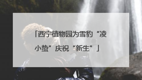 西宁植物园为雪豹“凌小蛰”庆祝“新生”