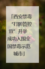 西安禁毒“打防管控宣”并举 成功入围全国禁毒示范城市
