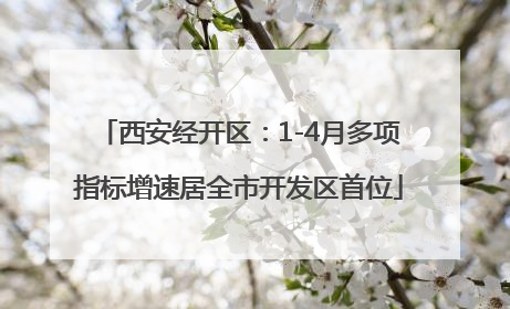 西安经开区：1-4月多项指标增速居全市开发区首位