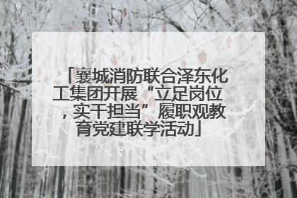 襄城消防联合泽东化工集团开展“立足岗位，实干担当”履职观教育党建联学活动