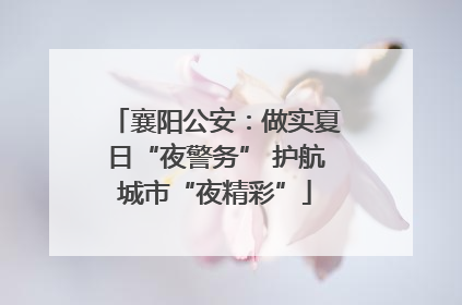 襄阳公安：做实夏日“夜警务” 护航城市“夜精彩”