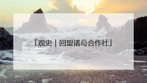 观史｜回望诸葛合作社