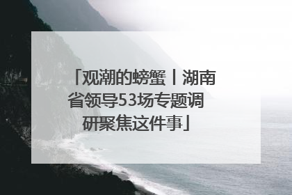 观潮的螃蟹丨湖南省领导53场专题调研聚焦这件事